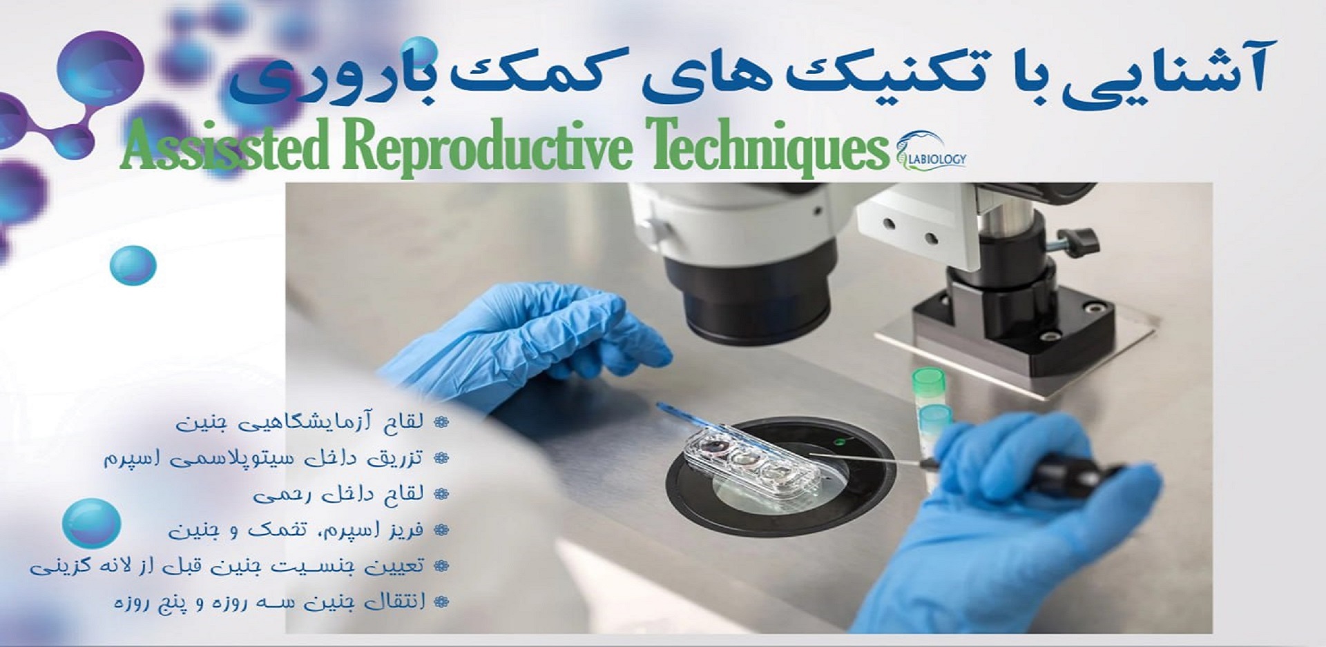 Labiology labiology