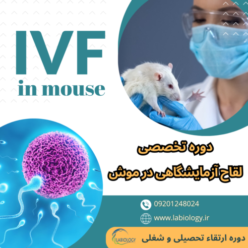 لقاح آزمایشگاهی در موش